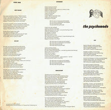 Load image into Gallery viewer, Cockney Rebel : The Psychomodo (LP, Album)