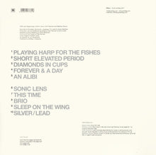 Load image into Gallery viewer, Wire : Silver / Lead (LP, Album)