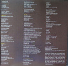 Load image into Gallery viewer, Big Thief : Capacity (LP, Album)