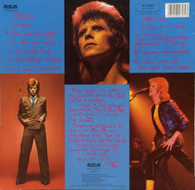 Load image into Gallery viewer, Bowie* : Pinups (LP, Album, RE)