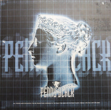 Load image into Gallery viewer, S.A.M.* : Destiny / Continental Drift (12")
