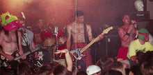 Load image into Gallery viewer, Skatenigs : Stupid People Shouldn't Breed (CD, Album)