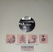 Load image into Gallery viewer, Icarus (2) : Moth (12")