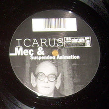 Load image into Gallery viewer, Icarus (2) : Moth (12")