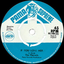 Load image into Gallery viewer, The Marvels : What A Hurricane (7", Single)