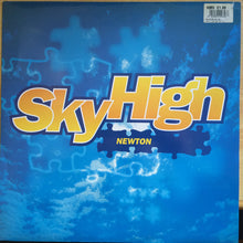 Load image into Gallery viewer, Newton (2) : Sky High (12")