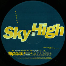 Load image into Gallery viewer, Newton (2) : Sky High (12")