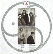 Load image into Gallery viewer, Hothouse Flowers : People (LP, Album)
