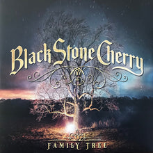 Load image into Gallery viewer, Black Stone Cherry : Family Tree (2xLP, Album, Ltd, Yel)