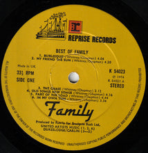 Load image into Gallery viewer, Family (6) : Best Of Family (LP, Comp)