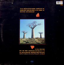 Load image into Gallery viewer, Pink Floyd : Delicate Sound Of Thunder (2xLP, Album, EMI)