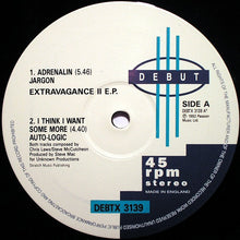 Load image into Gallery viewer, Various : Extravagance EP 2 (12", EP)