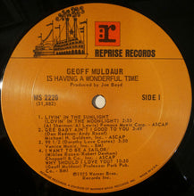 Load image into Gallery viewer, Geoff Muldaur : Is Having A Wonderful Time (LP, Album)