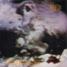 Load image into Gallery viewer, Ministry : The Land Of Rape And Honey (CD, Album, RE)