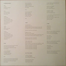 Load image into Gallery viewer, Adrianne Lenker : Abysskiss (LP, Album)