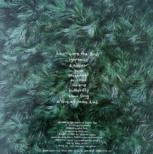 Load image into Gallery viewer, Adrianne Lenker : Hours Were The Birds (LP, Album, RE)