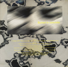 Load image into Gallery viewer, Front 242 : 06:21:03:11 Up Evil (LP, Album)