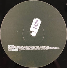 Load image into Gallery viewer, Embrace : One Big Family (12", Promo)