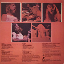 Load image into Gallery viewer, The Allman Brothers Band : Beginnings (2xLP, Comp, PR )