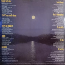 Load image into Gallery viewer, David Bromberg Band : Midnight On The Water (LP, Album)