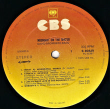 Load image into Gallery viewer, David Bromberg Band : Midnight On The Water (LP, Album)