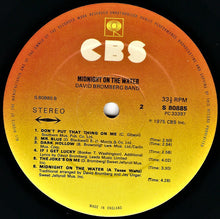 Load image into Gallery viewer, David Bromberg Band : Midnight On The Water (LP, Album)