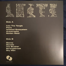 Load image into Gallery viewer, Polypores : Flora (LP, Album, Ltd)