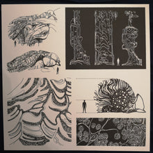 Load image into Gallery viewer, Polypores : Flora (LP, Album, Ltd)