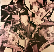 Load image into Gallery viewer, Suzanne Vega : Solitude Standing (LP, Album)