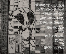 Load image into Gallery viewer, Subhumans : Crisis Point (LP, Album)