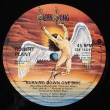 Load image into Gallery viewer, Robert Plant : Burning Down One Side (12")