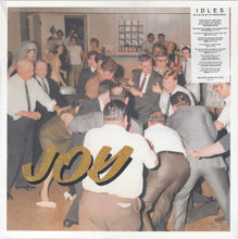 Load image into Gallery viewer, Idles : Joy As An Act Of Resistance (LP, Album, RP, Acr)