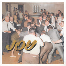 Load image into Gallery viewer, Idles : Joy As An Act Of Resistance (LP, Album, RP, Acr)