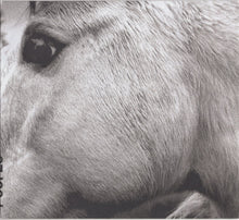 Load image into Gallery viewer, Bonny Light Horseman : Bonny Light Horseman (CD, Album)