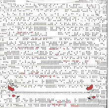 Load image into Gallery viewer, The Last Words : Animal World (7", Wes)