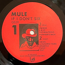 Load image into Gallery viewer, Mule : If I Don't Six (LP, Album)