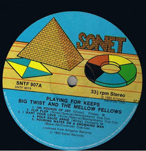 Load image into Gallery viewer, Big Twist And The Mellow Fellows : Playing For Keeps (LP, Album)
