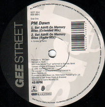 Load image into Gallery viewer, P.M. Dawn : Set Adrift On Memory Bliss (12")