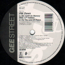 Load image into Gallery viewer, P.M. Dawn : Set Adrift On Memory Bliss (12")