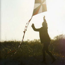 Load image into Gallery viewer, Air France : No Way Down (CD, Comp)