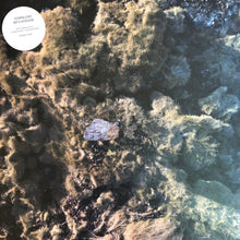 Load image into Gallery viewer, Julianna Barwick : Healing Is A Miracle (LP, Album)