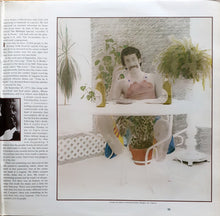 Load image into Gallery viewer, Jim Croce : The Faces I've Been (2xLP, Mono)