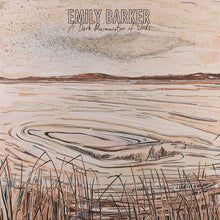 Load image into Gallery viewer, Emily Barker : A Dark Murmuration Of Words (CD, Album)