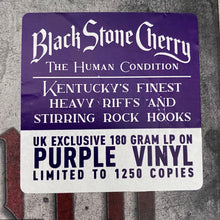 Load image into Gallery viewer, Black Stone Cherry : The Human Condition (LP, Album, Ltd, Pur)