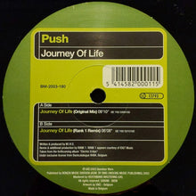 Load image into Gallery viewer, Push : Journey Of Life (12")