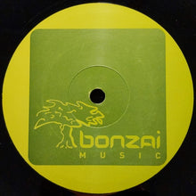 Load image into Gallery viewer, Push : Journey Of Life (12")