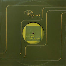 Load image into Gallery viewer, Push : Journey Of Life (12")