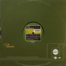 Load image into Gallery viewer, Push : Journey Of Life (12")