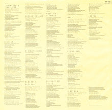 Load image into Gallery viewer, Tracy Chapman : Tracy Chapman (LP, Album, Mat)