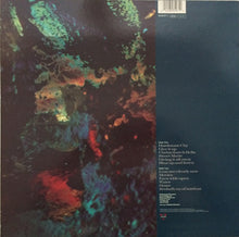 Load image into Gallery viewer, Hothouse Flowers : Home (LP, Album)